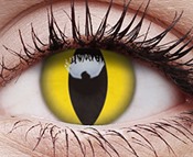 Cats Eye Cats Eye